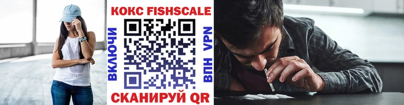 Cocaine FishScale  закладки  Эртиль 
