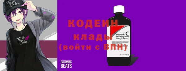 ешки Бородино