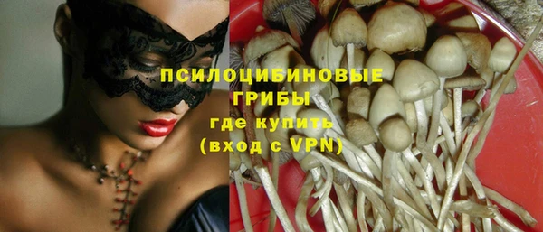 ешки Бородино
