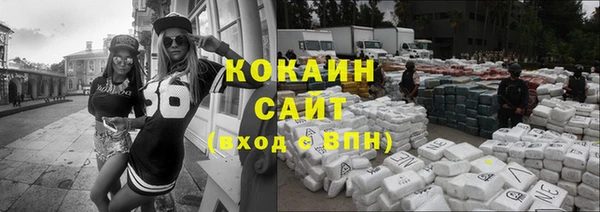 ешки Бородино