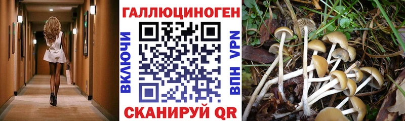 Галлюциногенные грибы MAGIC MUSHROOMS  где найти наркотики  Эртиль 